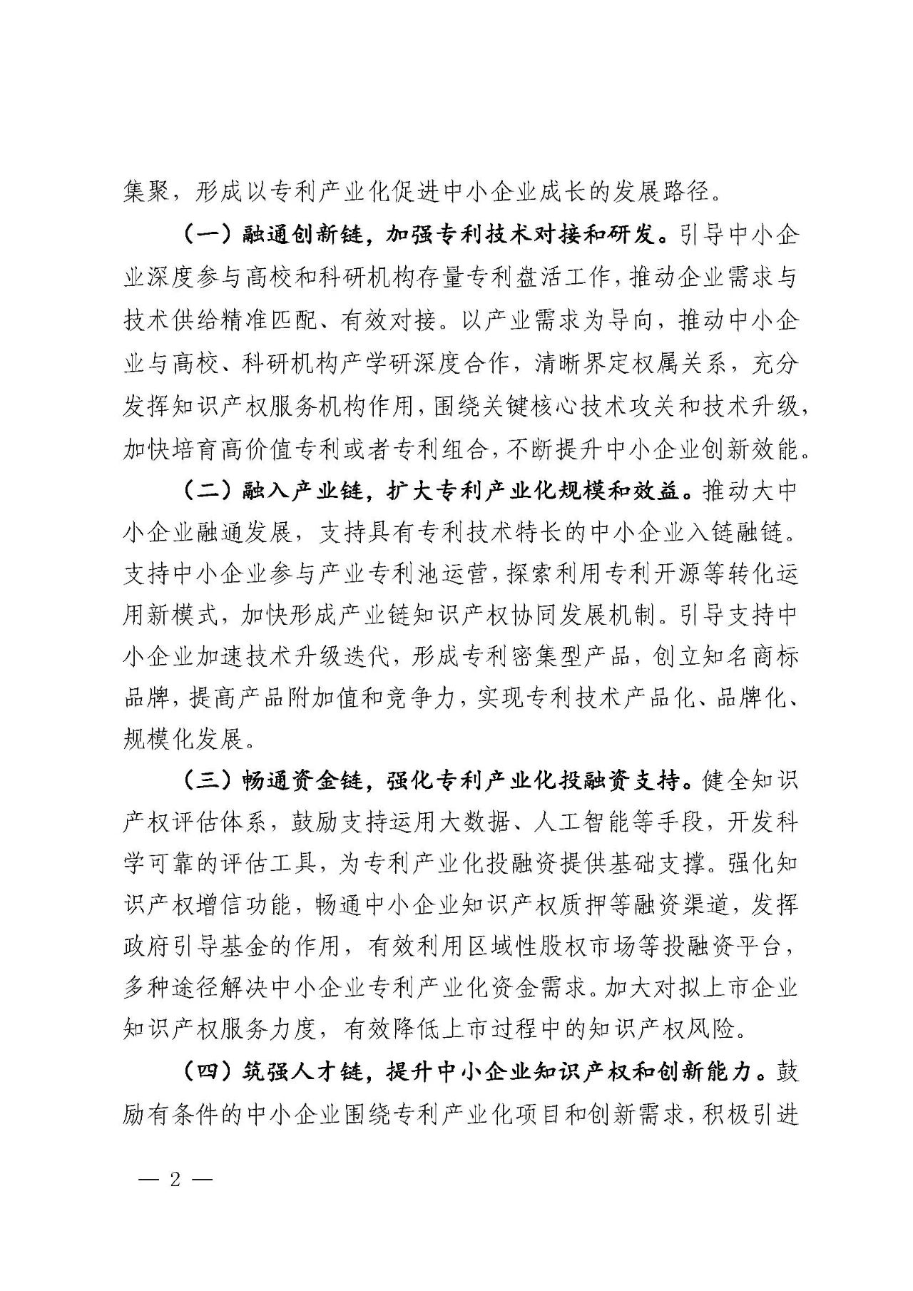 專利產(chǎn)業(yè)化促進中小企業(yè)成長計劃實施方案