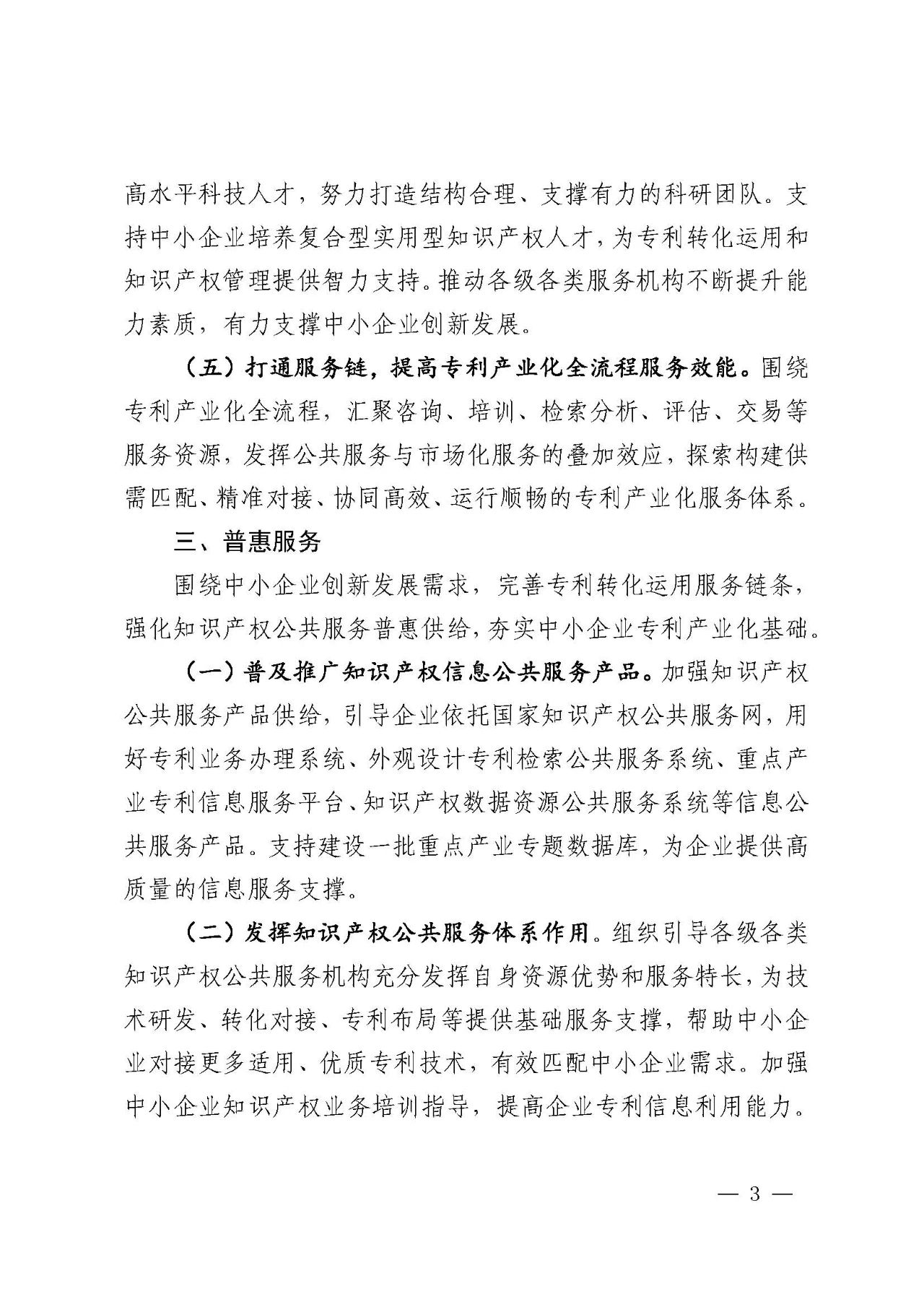專利產(chǎn)業(yè)化促進中小企業(yè)成長計劃實施方案